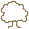Tree icon